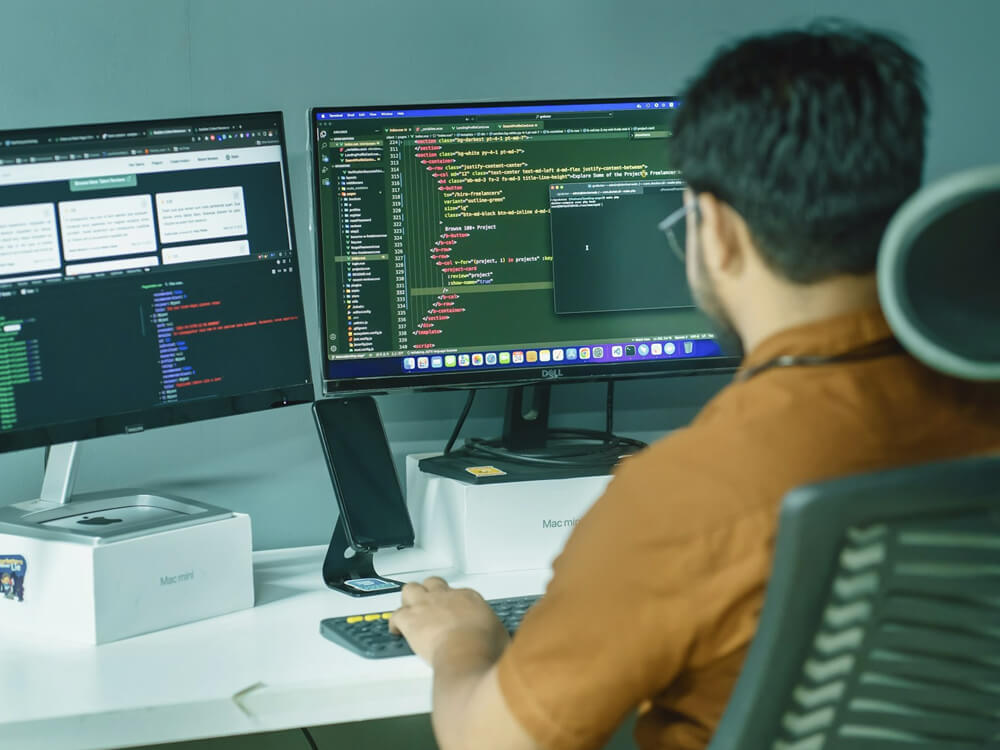 Software-Integrations-Services